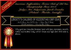 Liberty's Calibre of Rizenstar.png
